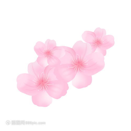 手绘一簇樱花的意蕴与技巧